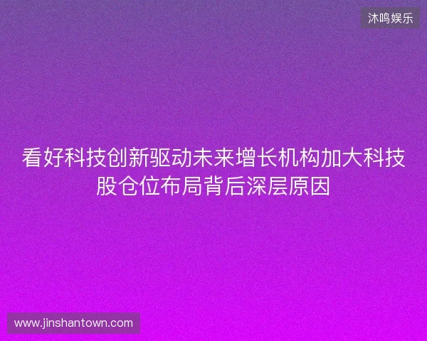 看好科技创新驱动未来增长机构加大科技股仓位布局背后深层原因