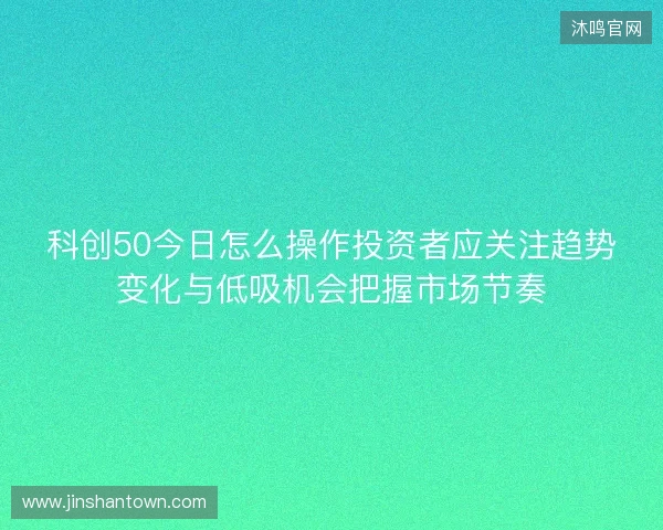 科创50今日怎么操作投资者应关注趋势变化与低吸机会把握市场节奏