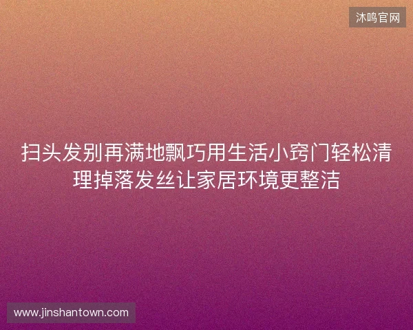 扫头发别再满地飘巧用生活小窍门轻松清理掉落发丝让家居环境更整洁
